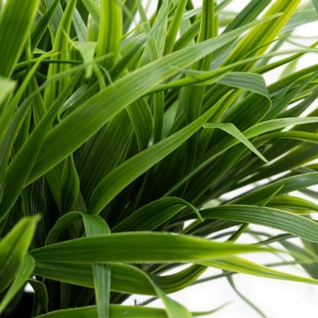 Verdure artificielle extérieure en pot de culture, 19 x 22'' - Décors Véronneau