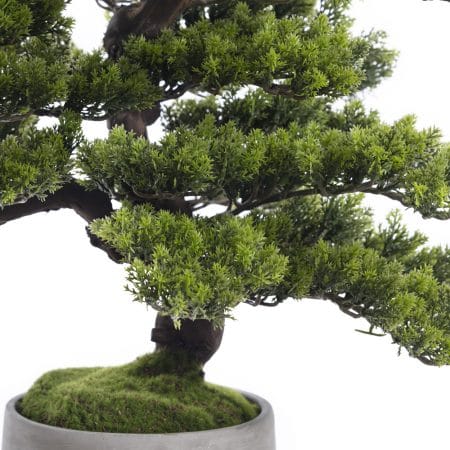 Bonsaï artificiel de pin de montagne - Décors Véronneau