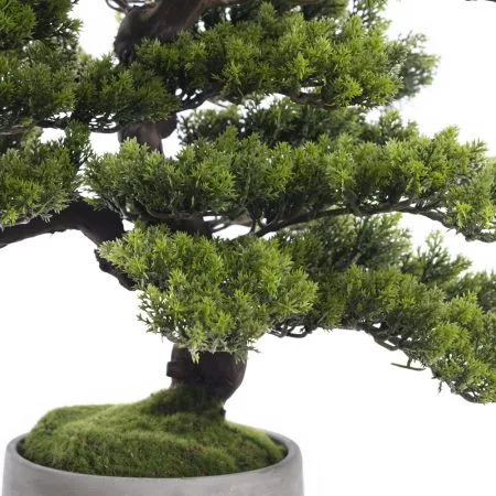 Mountain pine artificial bonsai tree - Décors Véronneau