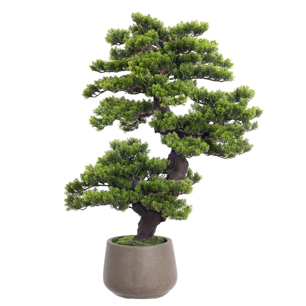 Artificial pine needle bonsai tree - Décors Véronneau