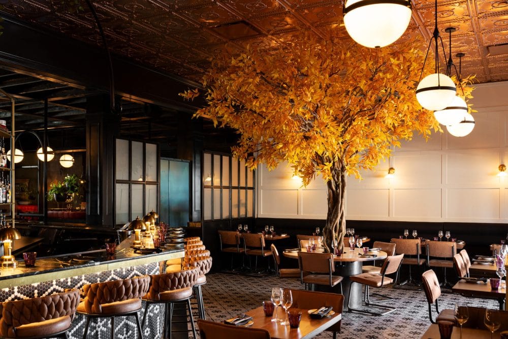 Arbre à feuilles orange dans le restaurant Madame Bovary à Laval - Décors Véronneau