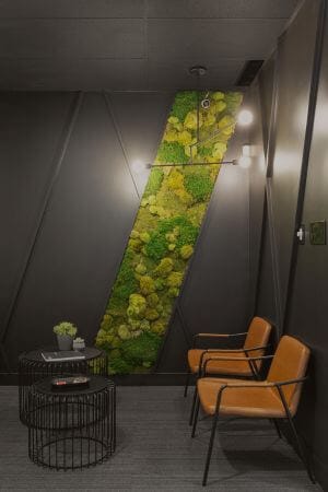 Mur de mousse préservé - Décors Véronneau