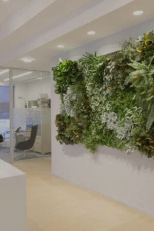 Mur végétal - Décors Véronneau