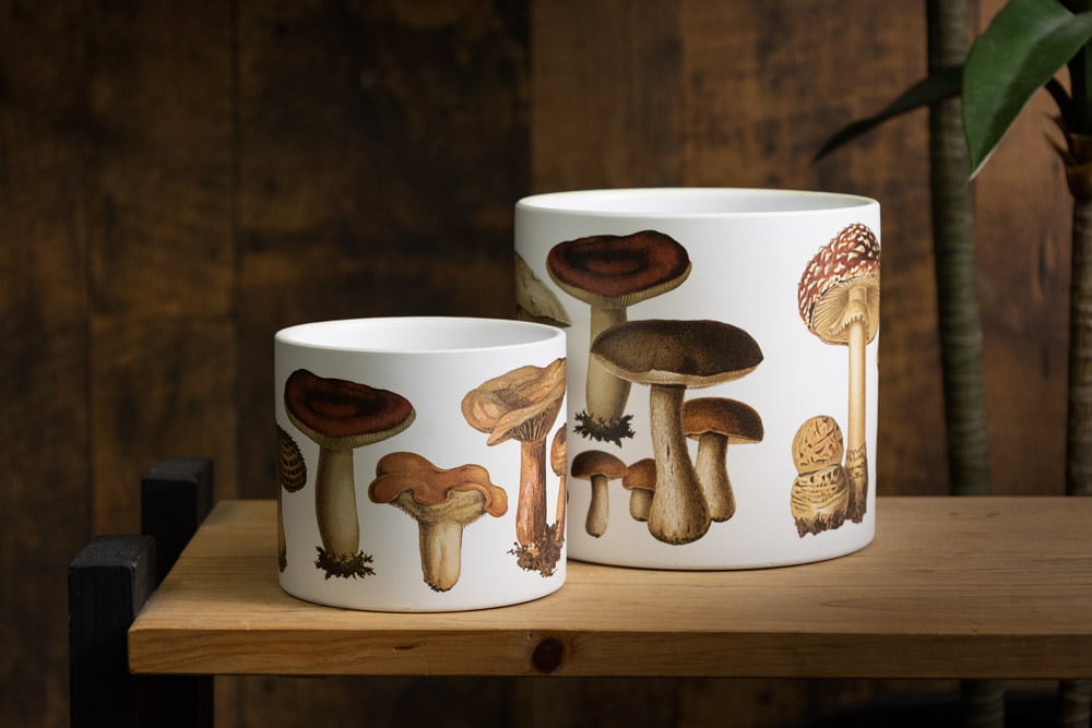 Petit pot décoratif à motif de champignons, 4,5'' – Image 2 - Décors Véronneau