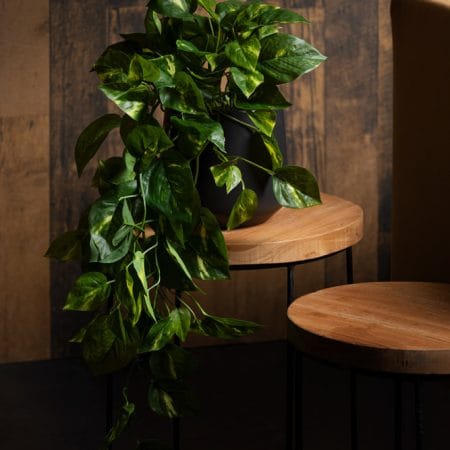 Artificial small pothos plant in a black pot - Décors Véronneau