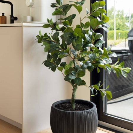 Arbre ficus artificiel au tronc texturé en pot noir, 48'' - Décors Véronneau