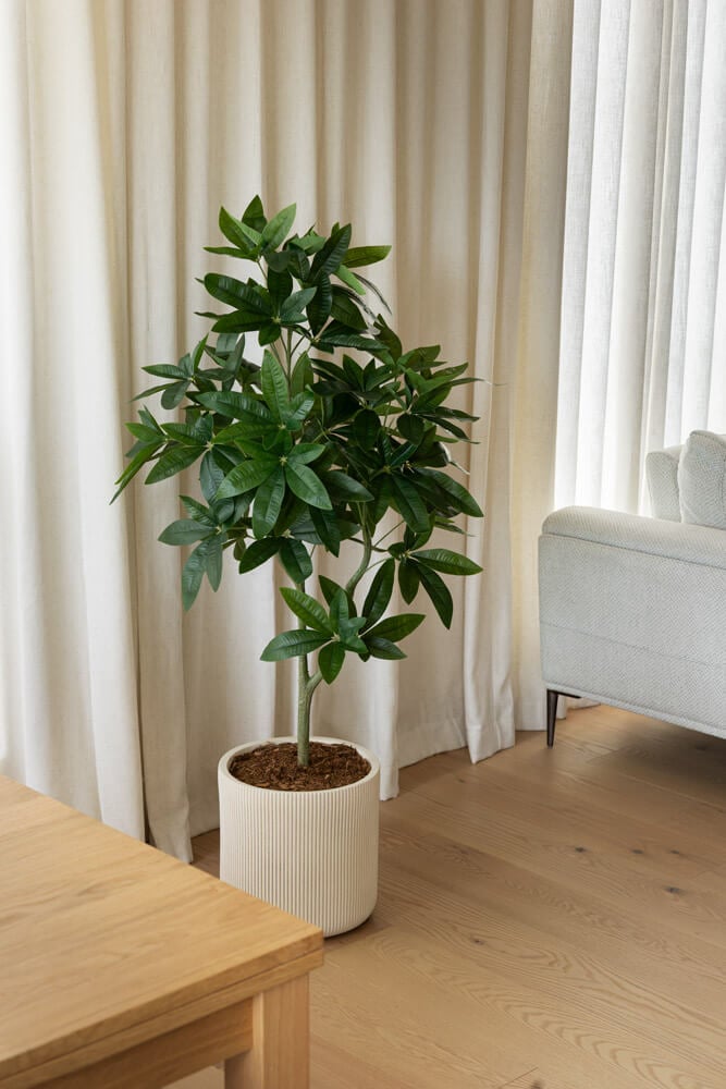 Plante artificielle money tree en pot crème - Décors Véronneau