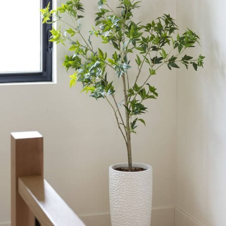 Arbre aralia artificiel en pot noir, 60'' - Décors Véronneau
