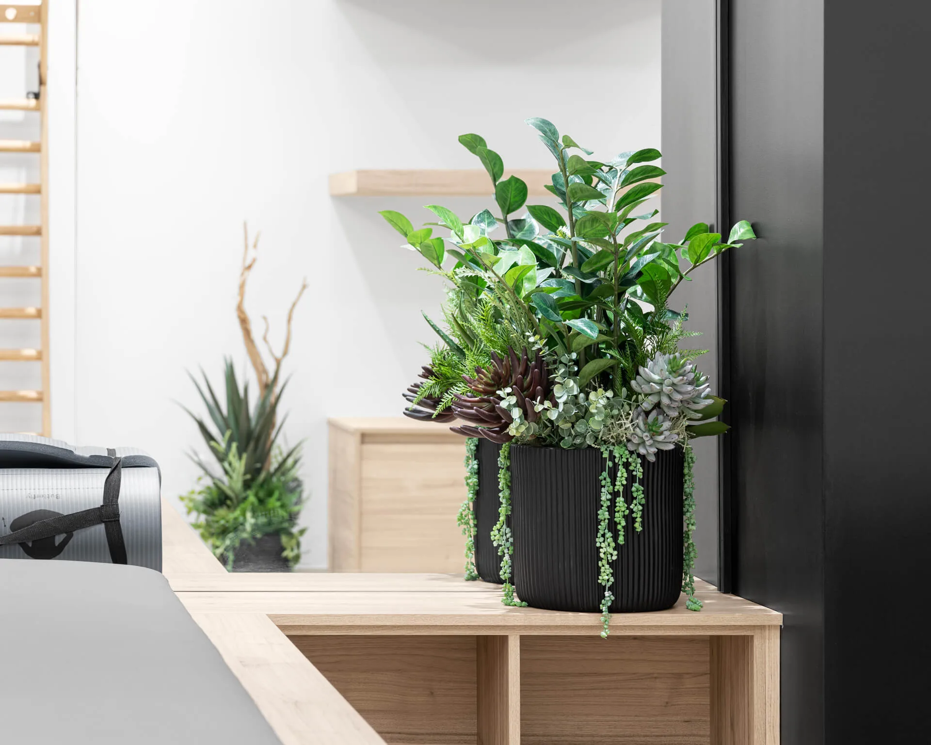 Silk Plants: The Ultimate Guide to Choose & Care For Them - Dcors Vronneau