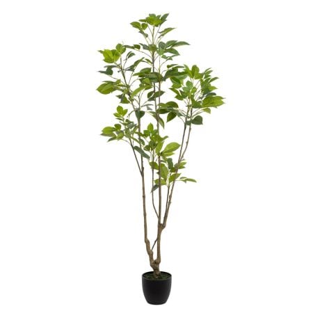 Arbre bishofia javanica artificiel en pot noir, 72''
