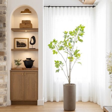 Arbre bishofia javanica artificiel en pot noir, 72'' - Décors Véronneau