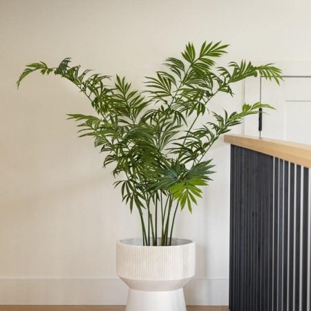 Cycas debaoensis artificiel en pot noir, 55'' - Décors Véronneau