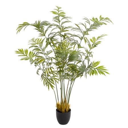Cycas debaoensis artificiel en pot noir, 55''