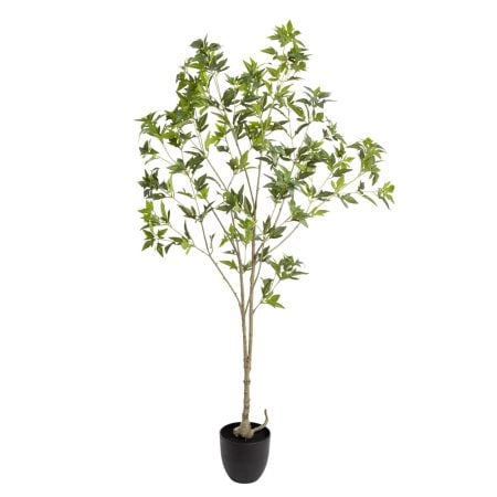 Arbre aralia artificiel en pot noir, 60''
