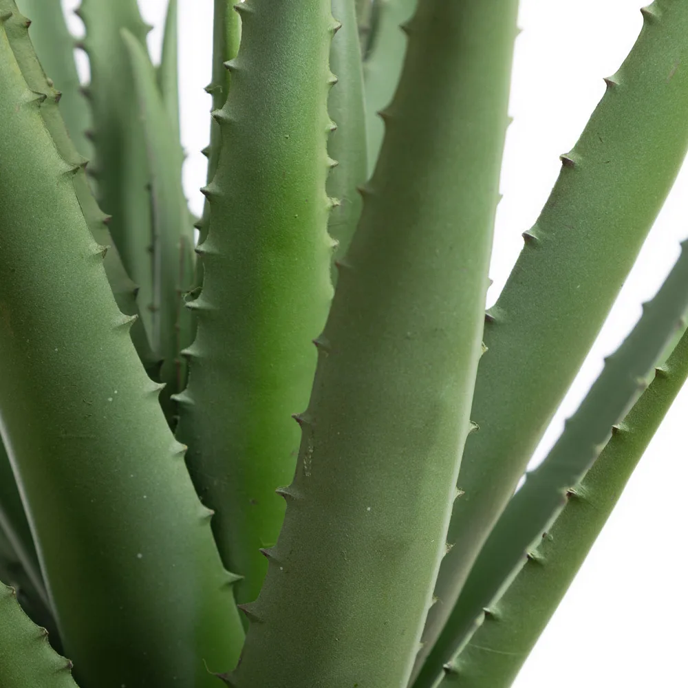 Plante artificielle petit aloès en pot noir, 19,5'' – Image 6 - Décors Véronneau