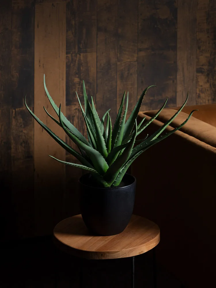 Plante artificielle aloès en pot noir - Décors Véronneau