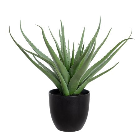 Plante artificielle petit aloès en pot noir, 19,5''