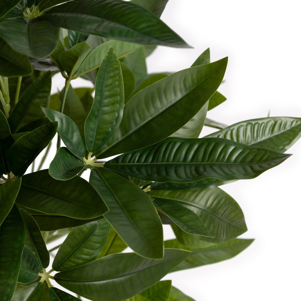 Arbre à monnaie artificiel en pot noir, 48'' – Image 5 - Décors Véronneau