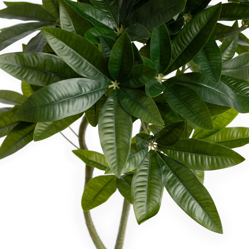 Arbre à monnaie artificiel en pot noir, 48'' – Image 4 - Décors Véronneau