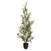 Plante artificielle olivier - Décors Véronneau