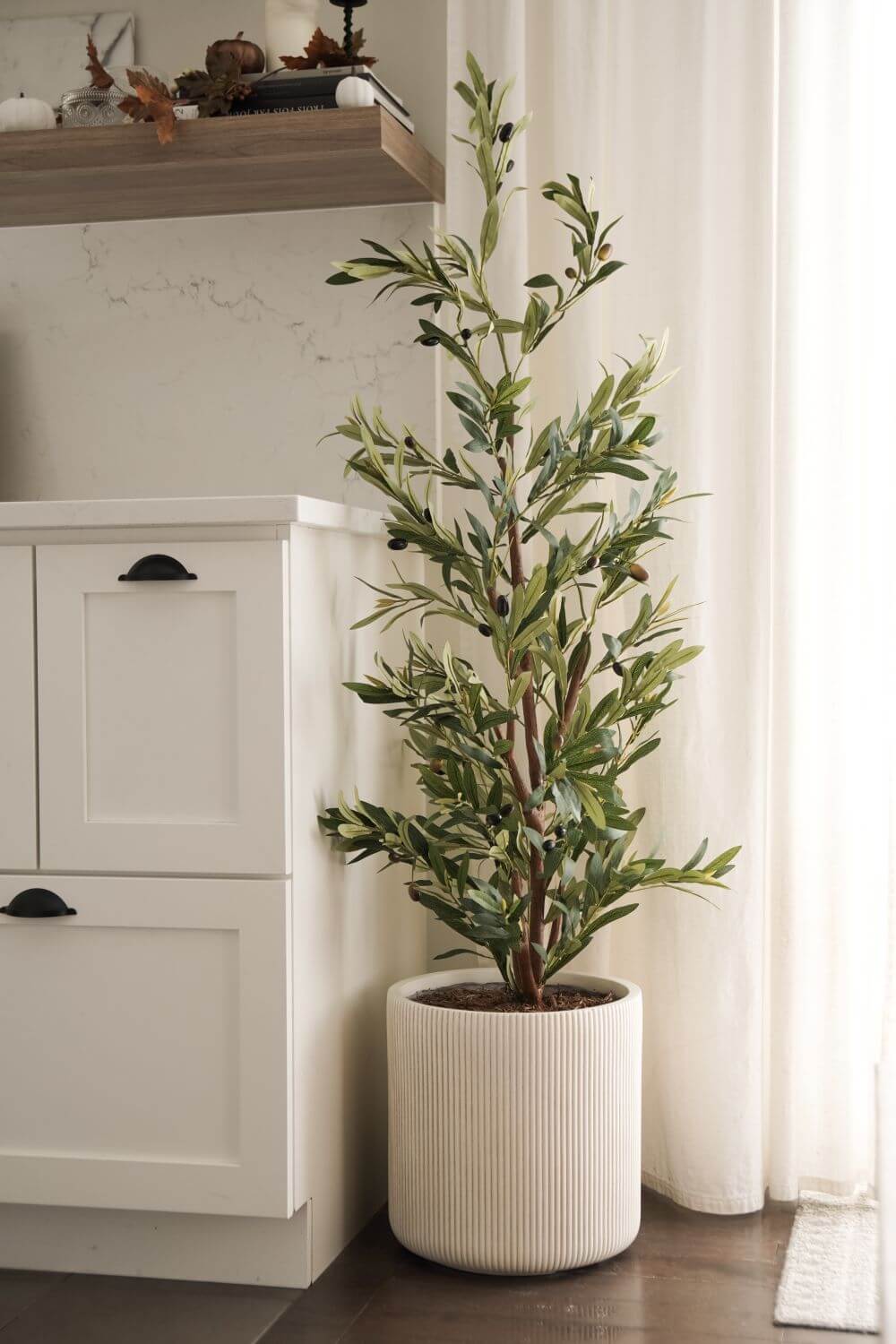 Buisson d'olivier artificiel en pot blanc dans une cuisine - Décors Véronneau