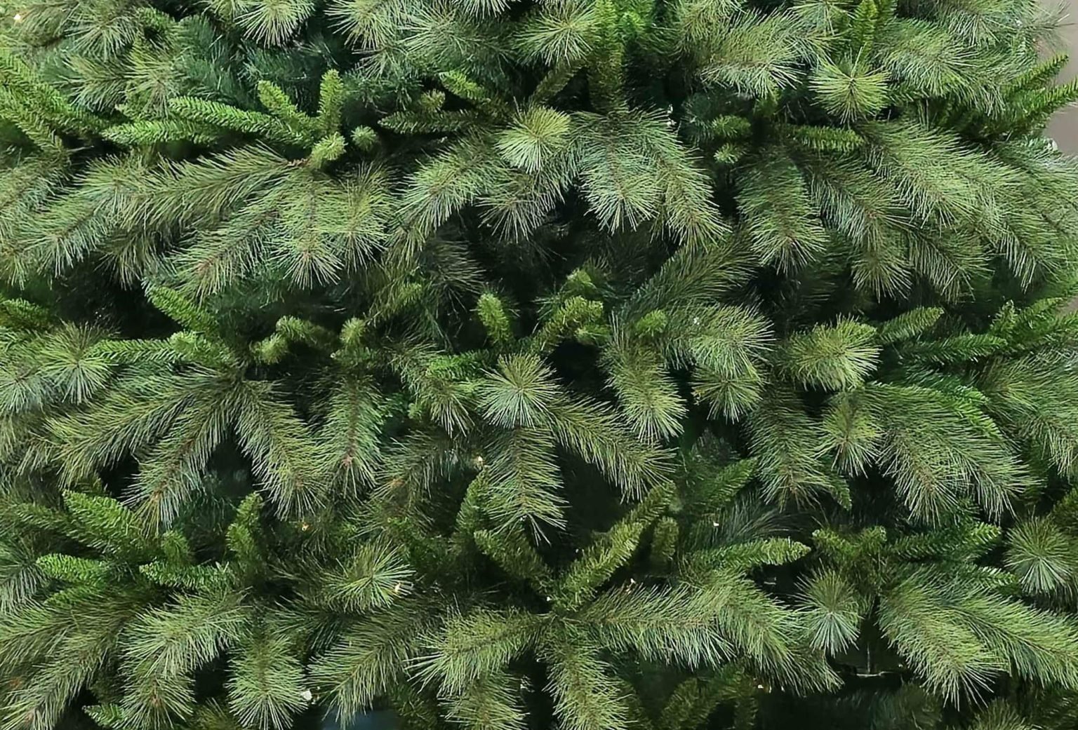 Sapinage de sapin de Noël luxuriant - Décors Véronneau