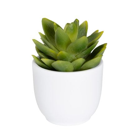 Mini plante grasse artificielle en pot blanc