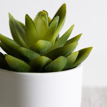 Mini plante grasse artificielle en pot blanc - Décors Véronneau
