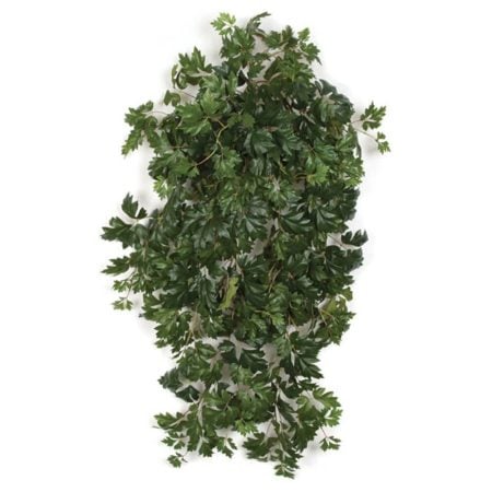 Vigne à raisins ignifuge, 48''