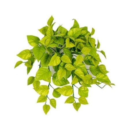 Pothos vert lime suspendu ignifuge, 24''