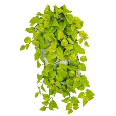 Pothos vert lime suspendu ignifuge, 50''