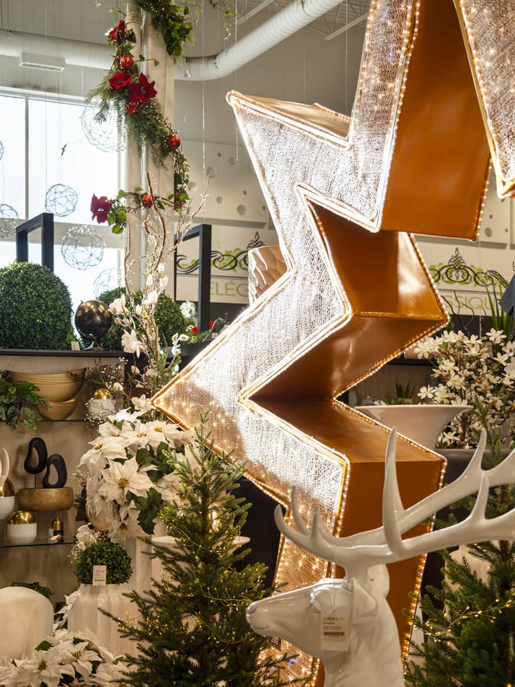 Outdoor walkthrough star arch, 3200 twinkling LEDs, 13,5 x 16,5' - Image 2 - Décors Véronneau