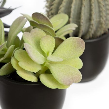 Trio de mini plantes grasses et cactus artificiels en pots noirs - Décors Véronneau