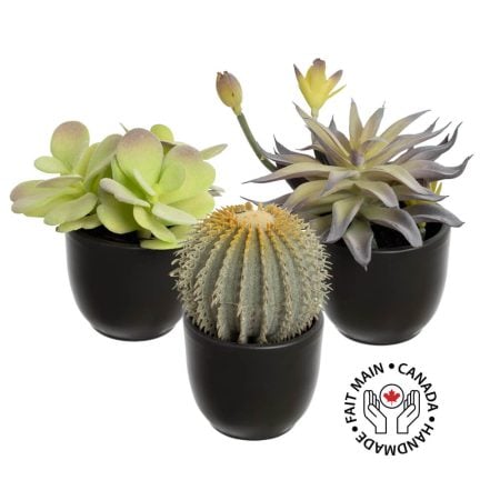 Trio de mini plantes grasses et cactus artificiels en pots noirs