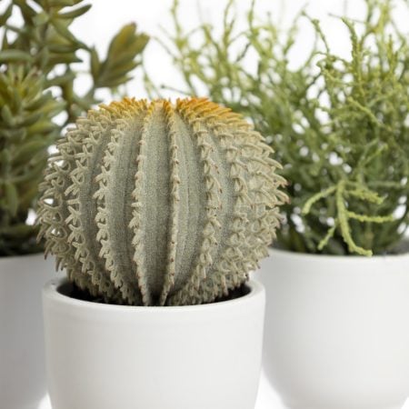 Trio de mini plantes grasses et cactus artificiels en pots blancs - Décors Véronneau