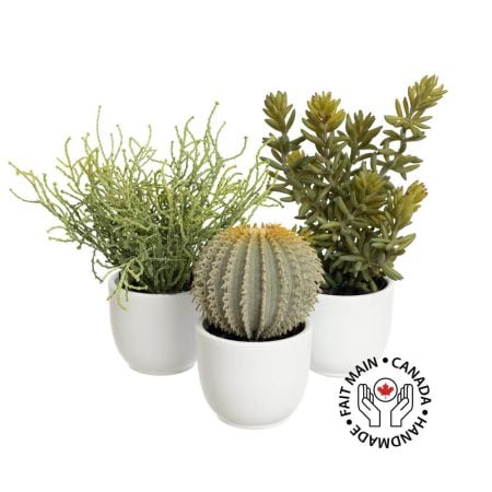 Trio de mini plantes grasses et cactus artificiels en pots blancs