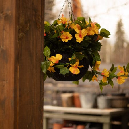 Jardinière suspendue d'hibiscus jaune en pot noir, 24 x 16'' - Décors Véronneau