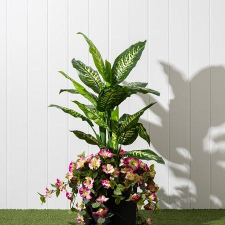 Arrangement extérieur de dieffenbachia et pétunia - Décors Véronneau
