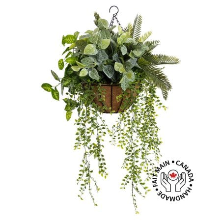Jardinière suspendue de fittonia et verdure, 30 x 22''