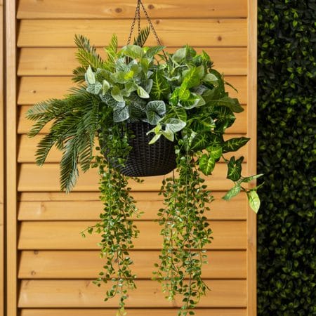 Jardinière suspendue de fittonia et verdure en pot noir, 27 x 20'' - Décors Véronneau