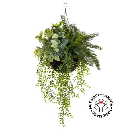 Jardinière suspendue de fittonia et verdure en pot noir, 27 x 20''