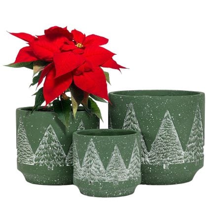 Cache-pot vert avec sapins de Noël - Décors Véronneau
