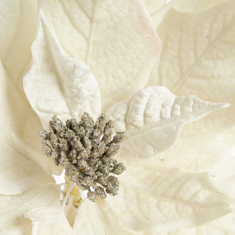 Fleur de Noël poinsettia en velours crème - Décors Véronneau
