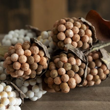 Artificial brown autumn pod berry spray, 18'' - Décors Véronneau