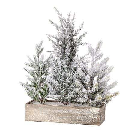 White pine tree centerpiece in a wooden box, 16''