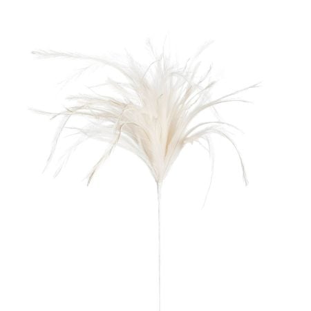 Plumes blanc cassé sur tige, 21,5''