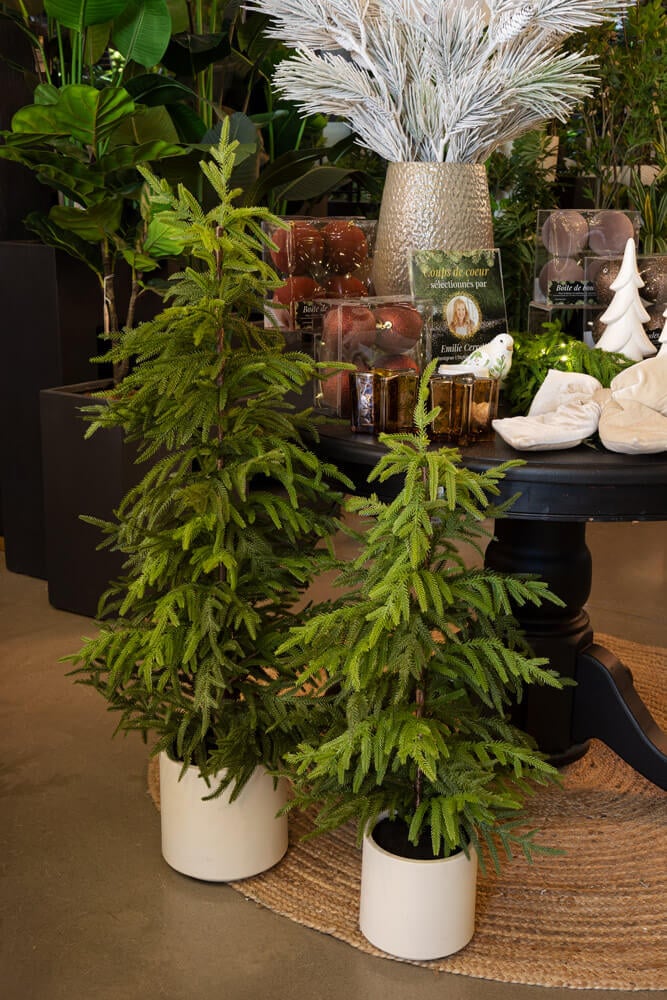Sapins de cyprès en pot - Décors Véronneau