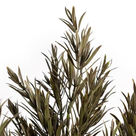 Bouquet d'herbe artificielle de romarin, 22'' - Décors Véronneau