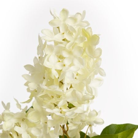 Fleur artificielle lilas ivoire, 30,5'' - Décors Véronneau
