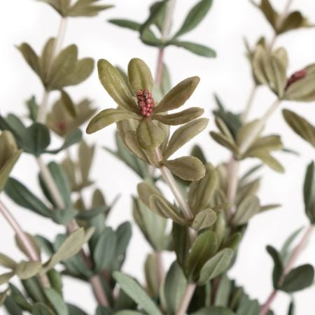 Bouquet d'herbe artificielle de pourpier, 8'' - Décors Véronneau